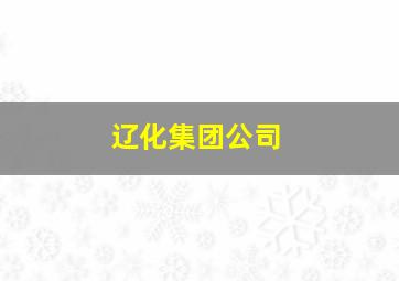 辽化集团公司