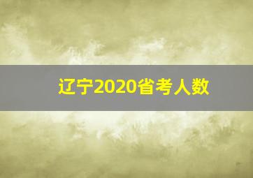 辽宁2020省考人数