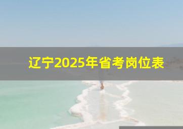 辽宁2025年省考岗位表