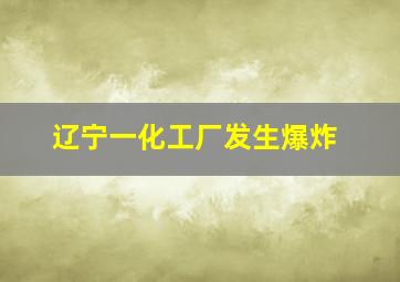 辽宁一化工厂发生爆炸