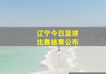 辽宁今日篮球比赛结果公布