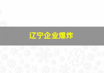 辽宁企业爆炸