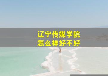 辽宁传媒学院怎么样好不好