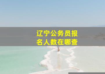 辽宁公务员报名人数在哪查