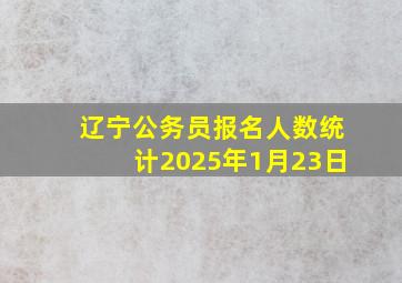 辽宁公务员报名人数统计2025年1月23日