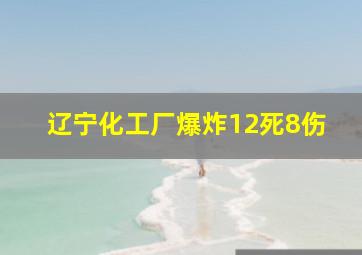 辽宁化工厂爆炸12死8伤