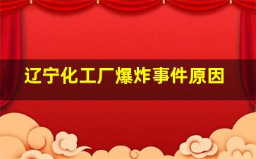 辽宁化工厂爆炸事件原因