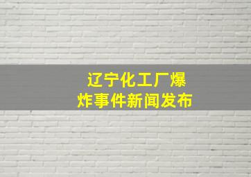 辽宁化工厂爆炸事件新闻发布