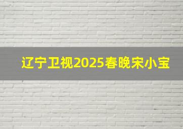 辽宁卫视2025春晚宋小宝