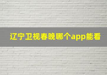 辽宁卫视春晚哪个app能看