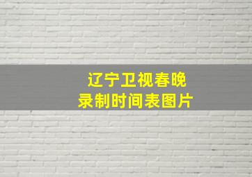 辽宁卫视春晚录制时间表图片