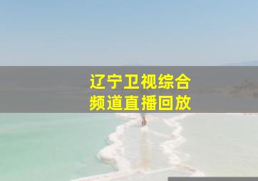 辽宁卫视综合频道直播回放