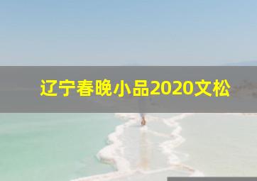 辽宁春晚小品2020文松