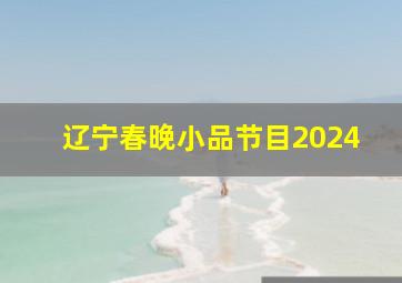 辽宁春晚小品节目2024