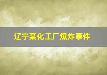 辽宁某化工厂爆炸事件