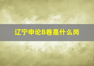 辽宁申论B卷是什么岗