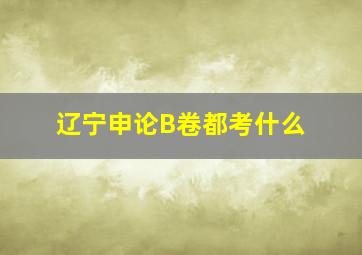 辽宁申论B卷都考什么