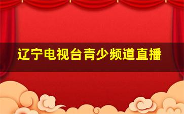 辽宁电视台青少频道直播