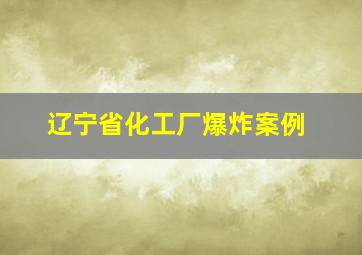 辽宁省化工厂爆炸案例