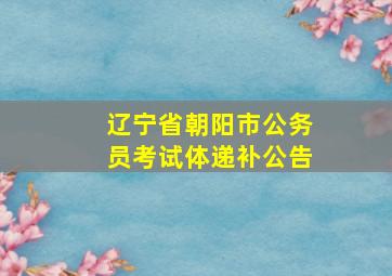 辽宁省朝阳市公务员考试体递补公告