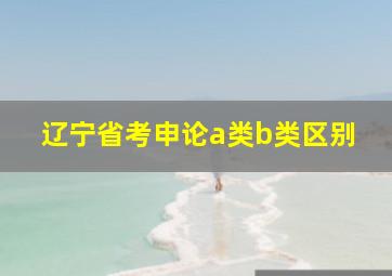 辽宁省考申论a类b类区别