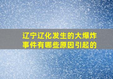 辽宁辽化发生的大爆炸事件有哪些原因引起的