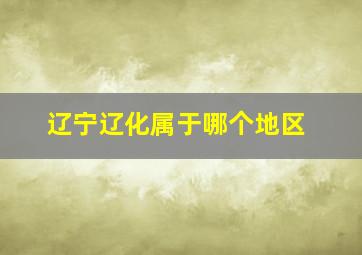 辽宁辽化属于哪个地区