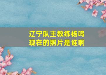 辽宁队主教练杨鸣现在的照片是谁啊