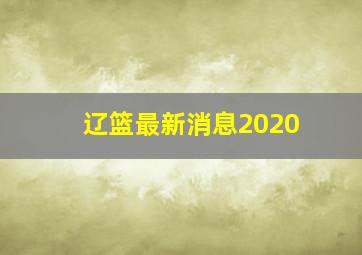 辽篮最新消息2020