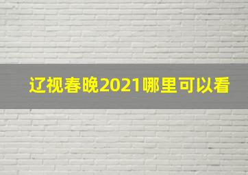 辽视春晚2021哪里可以看