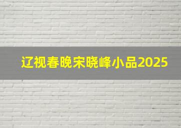 辽视春晚宋晓峰小品2025