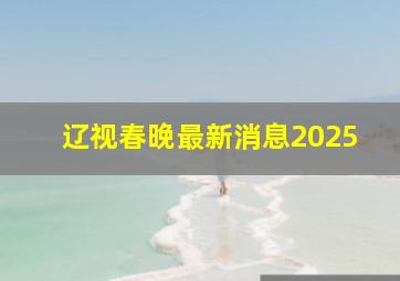 辽视春晚最新消息2025