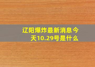 辽阳爆炸最新消息今天10.29号是什么