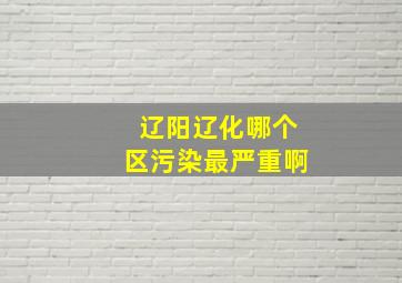 辽阳辽化哪个区污染最严重啊