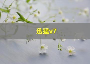 迅猛v7