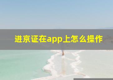 进京证在app上怎么操作