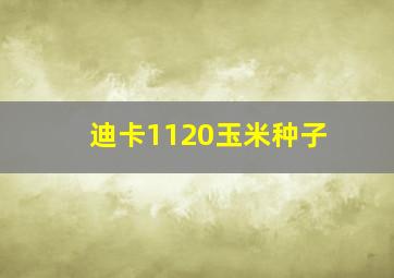 迪卡1120玉米种子