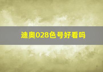 迪奥028色号好看吗