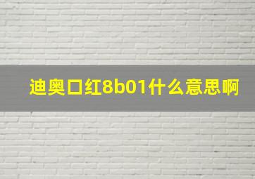 迪奥口红8b01什么意思啊