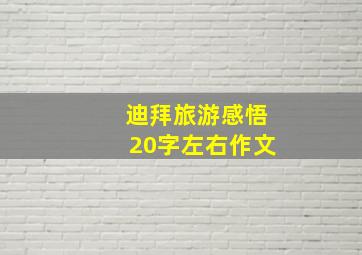 迪拜旅游感悟20字左右作文