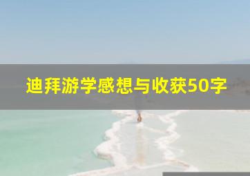 迪拜游学感想与收获50字