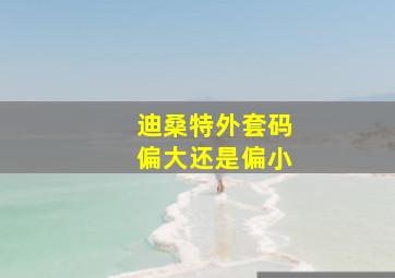 迪桑特外套码偏大还是偏小