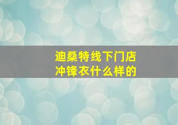 迪桑特线下门店冲锋衣什么样的