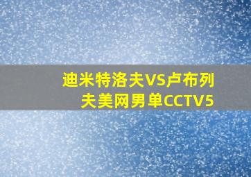 迪米特洛夫VS卢布列夫美网男单CCTV5