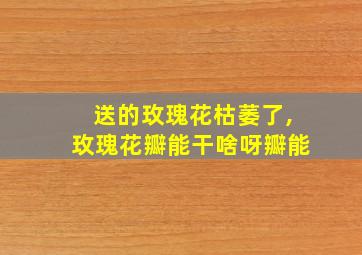 送的玫瑰花枯萎了,玫瑰花瓣能干啥呀瓣能