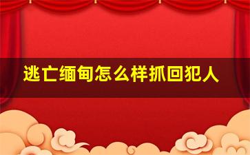 逃亡缅甸怎么样抓回犯人