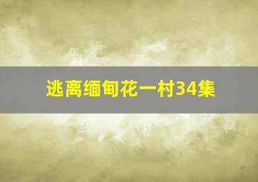 逃离缅甸花一村34集