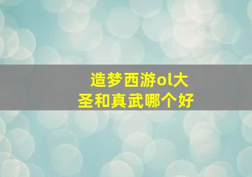 造梦西游ol大圣和真武哪个好