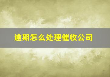 逾期怎么处理催收公司