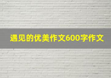 遇见的优美作文600字作文